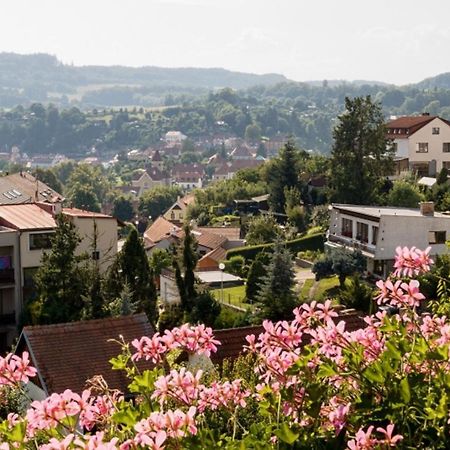 Bed and Breakfast Element Český Krumlov Exteriér fotografie